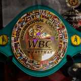 ...atleta che il 24 luglio scorso ha conseguito il prestigioso titolo internazionale �World Boxing Council� battendo a Sciacca, in Sicilia, lo svizzero Philipp Hafeli